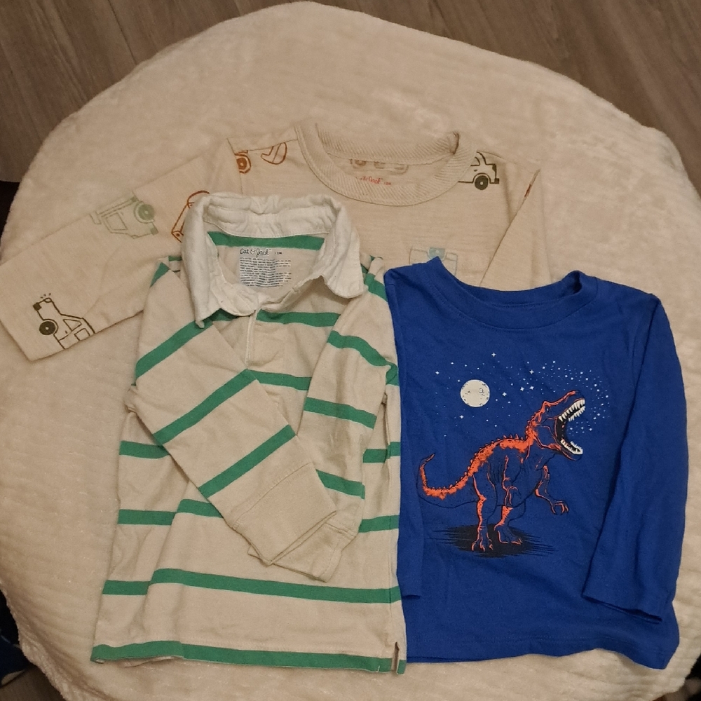 Cat & Jack Blue Tee with Dinosaur Print